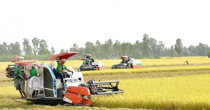 Việt Nam nhập khẩu gạo lớn thứ 3 thế giới