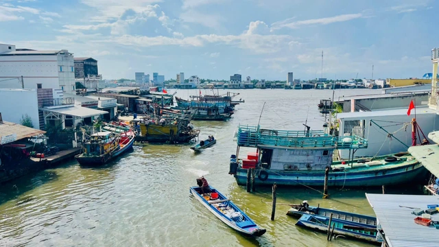 "Vượt sóng": Chuyện về thành phố 50 mùa hoa