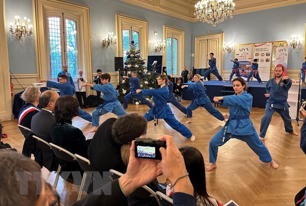 Van hoa Viet toa sang trong ngay hoi ton vinh tai thu do Paris hinh anh 2