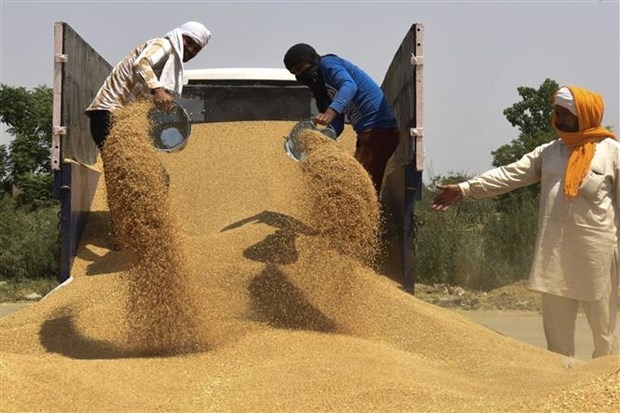 WTO: Thuong mai the gioi on dinh va tang truong 
