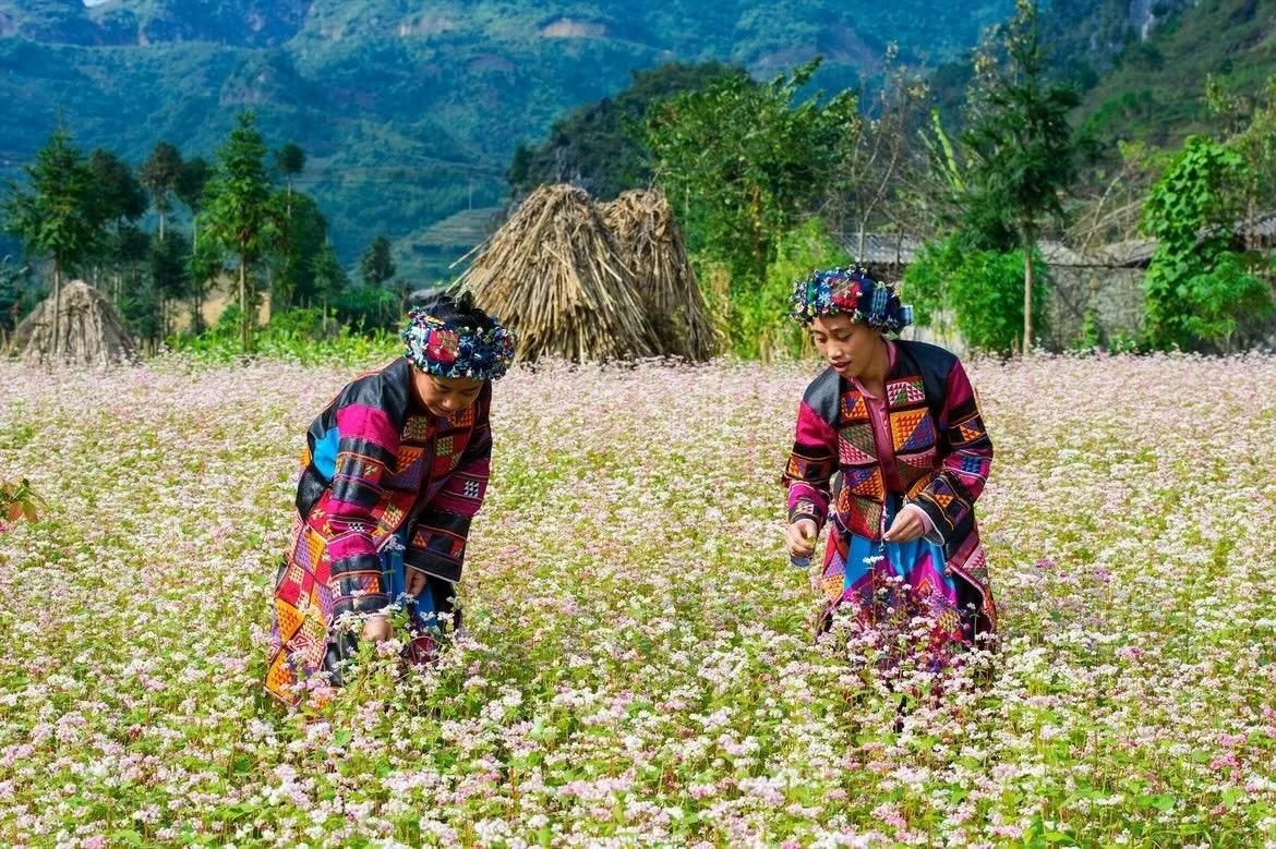 Thung lũng Sủng Là: 'Ốc đảo' yên bình trên cao nguyên đá Hà Giang Thung lũng Sủng Là: 'Ốc đảo' yên bình trên cao nguyên đá Hà Giang